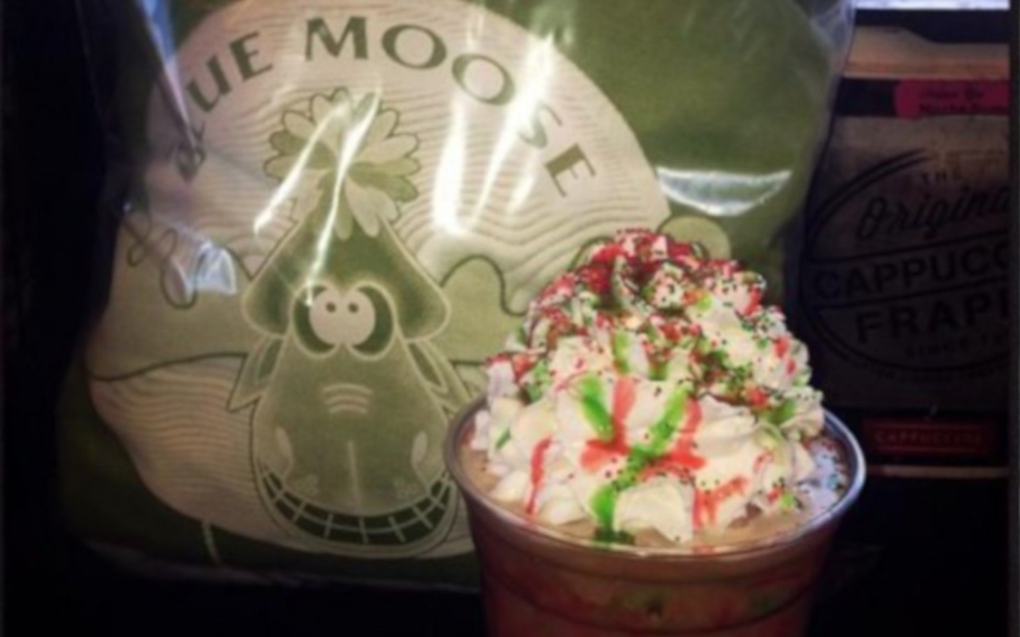 Blue Moose Coffee Lodge Lenoir'