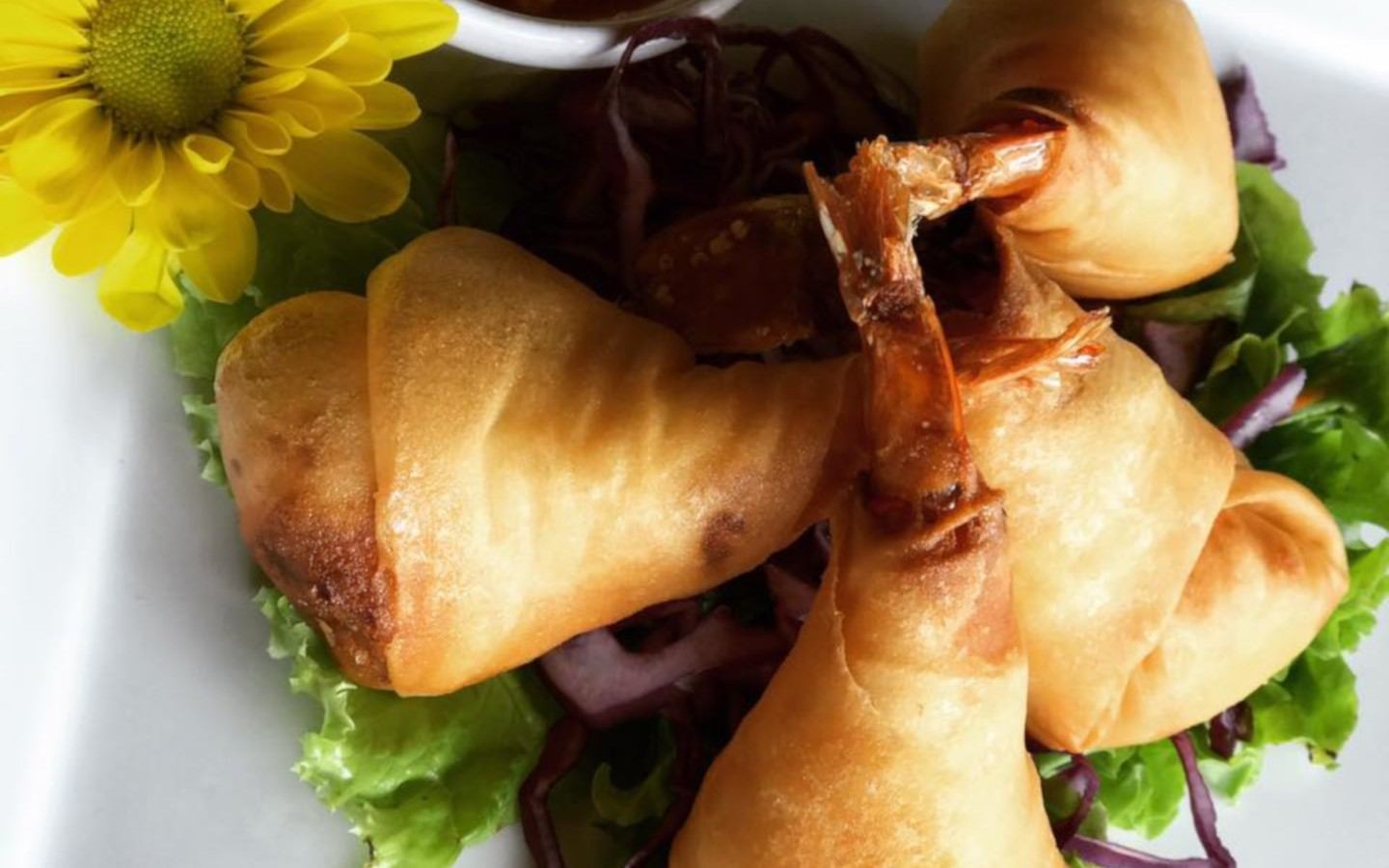 Asian Fusion Kitchen Morganton'